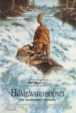 Постер фильма Дорога домой: Невероятное путешествие (1993)