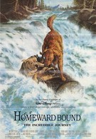 Дорога домой: Невероятное путешествие (1993)