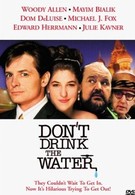 Не пей воду (1994)