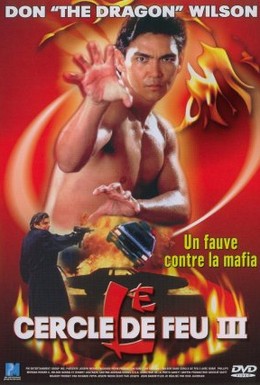Постер фильма Огненное кольцо 3: Удар льва (1994)