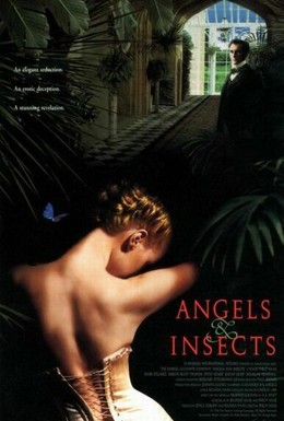 Постер фильма Ангелы и насекомые (1995)