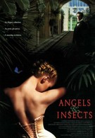 Ангелы и насекомые (1995)
