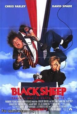 Постер фильма Паршивая овца (1996)