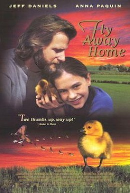 Постер фильма Летите домой (1996)