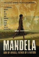 Мандела (1996)