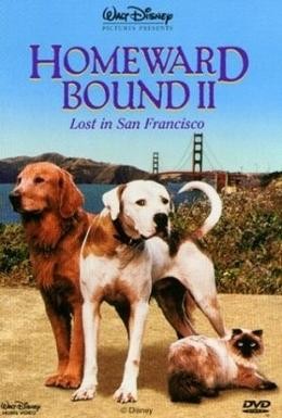 Постер фильма Дорога домой 2: Затерянные в Сан-Франциско (1996)