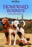 Дорога домой 2: Затерянные в Сан-Франциско (1996)