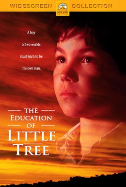 Постер фильма Приключения маленького индейца (1997)