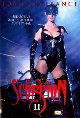 Постер фильма Черный скорпион 2: В эпицентре взрыва (1996)