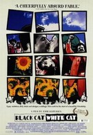 Черная кошка, белый кот (1998)