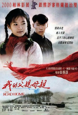 Постер фильма Дорога домой (1999)
