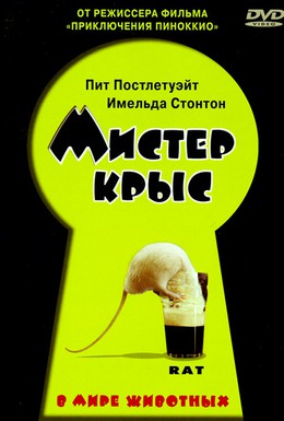 Постер фильма Мистер крыс (2000)