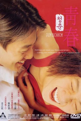 Постер фильма Сливовый цвет (2000)
