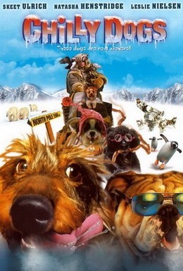 Постер фильма Снежный гонщик (2001)