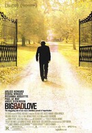 Большая плохая любовь (2001)