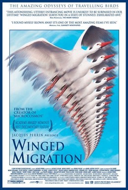 Постер фильма Птицы (2001)