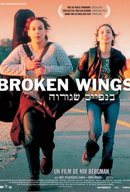 Постер фильма Сломанные крылья (2002)