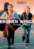 Сломанные крылья (2002)
