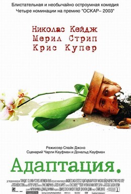 Постер фильма Адаптация (2002)