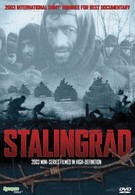 Сталинград (2003)