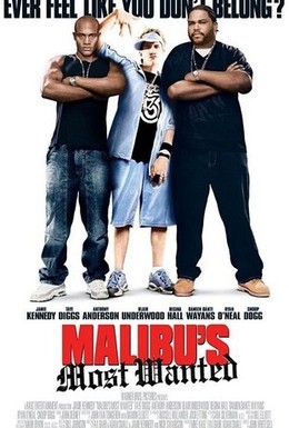 Постер фильма Разыскиваются в Малибу (2003)