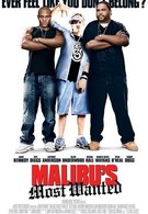 Разыскиваются в Малибу (2003)