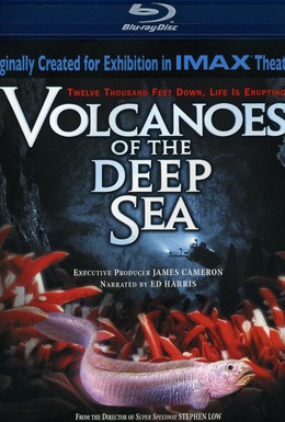 Постер фильма Вулканы в морских глубинах (2003)