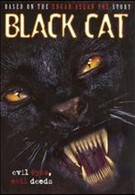 Черная кошка (2004)