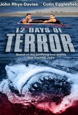 Постер фильма 12 дней страха (2004)