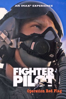 Постер фильма Боевые пилоты: Операция Красный флаг (2004)