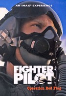 Боевые пилоты: Операция Красный флаг (2004)