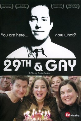 Постер фильма Двадцатидевятилетие гея (2005)