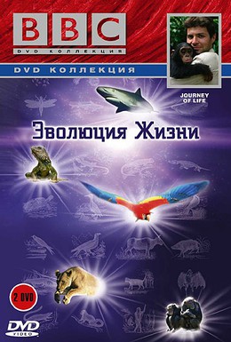 Постер фильма BBC: Эволюция жизни (2005)