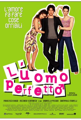 Постер фильма Идеальный мужчина (2005)