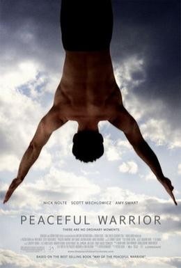 Постер фильма Мирный воин (2006)