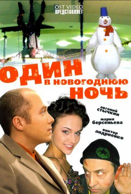 Постер фильма Один в новогоднюю ночь (2006)