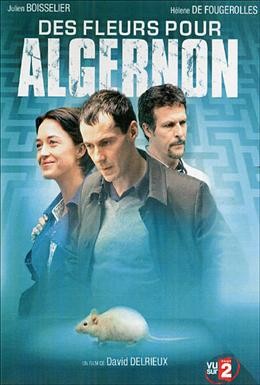 Постер фильма Цветы для Алджернона (2006)