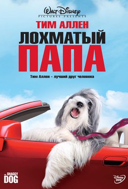 Постер фильма Лохматый папа (2006)