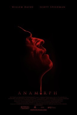 Постер фильма Анаморф (2007)