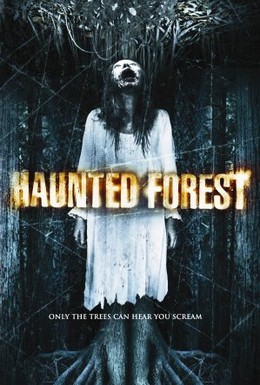 Постер фильма Проклятый лес (2007)
