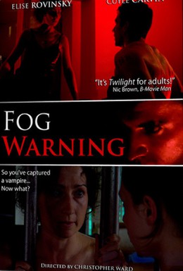 Постер фильма Надвигается туман (2008)