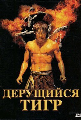 Постер фильма Дерущийся тигр (2008)