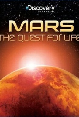 Постер фильма Марс: Поиск Жизни (2008)