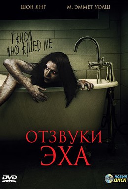 Постер фильма Отзвуки эха (2008)