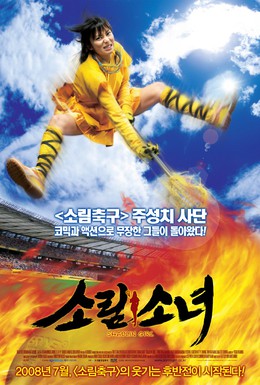 Постер фильма Девушка из Шаолиня (2008)