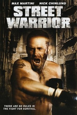 Постер фильма Уличный воин (2008)
