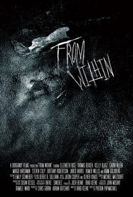 Постер фильма Изнутри (2008)