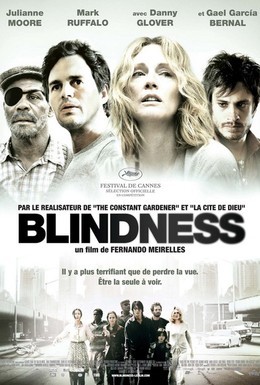 Постер фильма Слепота (2008)