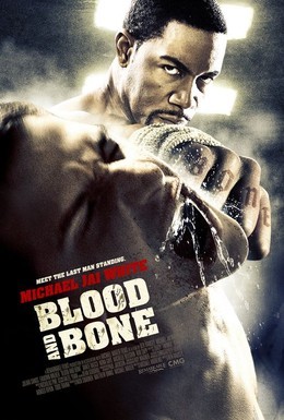 Постер фильма Кровь и кость (2009)
