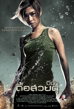 Постер фильма Феникс в ярости (2009)